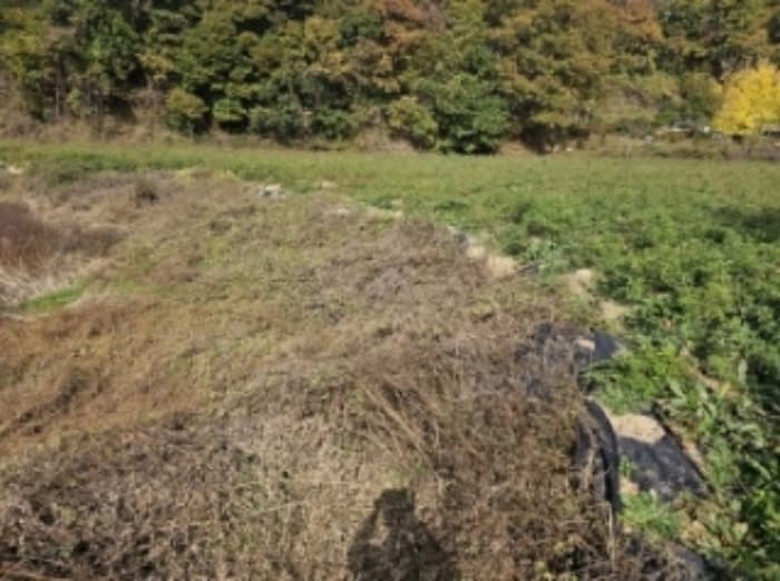 충청북도 제천시 산곡동 47 외 1 필지