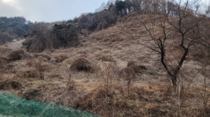 충청북도 제천시 수산면 대전리 746