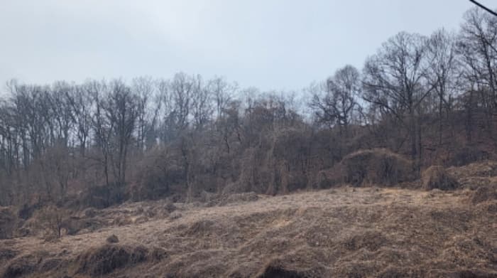 충청북도 제천시 수산면 고명리 83-1