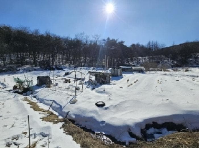 충청북도 제천시 강제동 산36-25