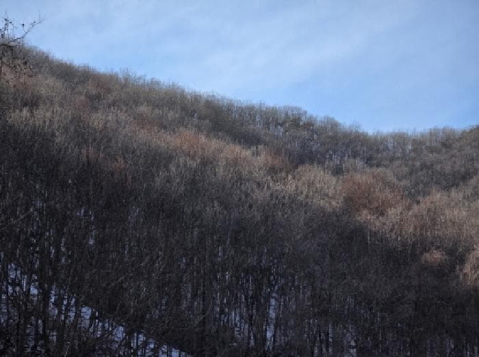 충청북도 제천시 봉양읍 학산리 산10