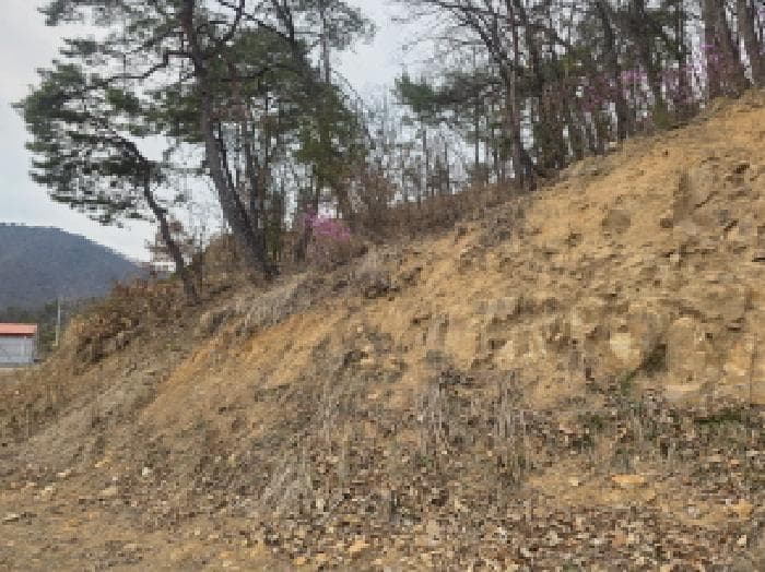 충청북도 제천시 수산면 상천리 산55-13 외 5 필지