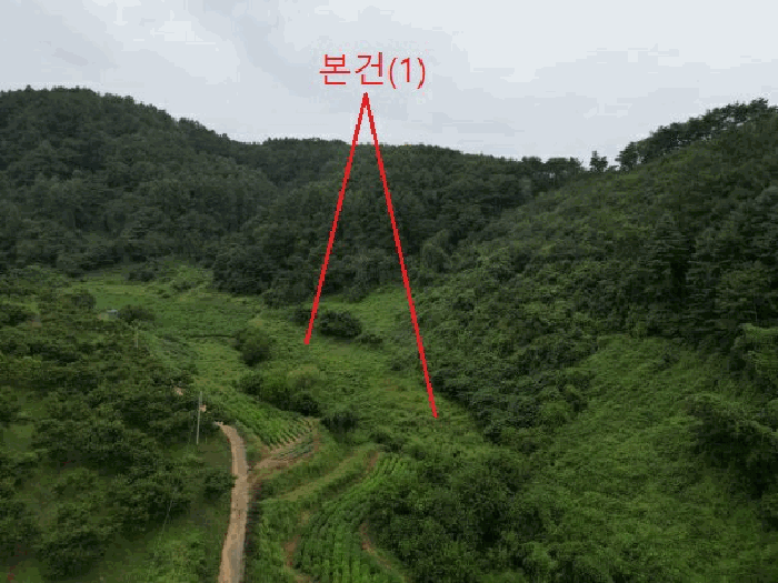 충청북도 제천시 봉양읍 명도리 95-8 외 2 필지