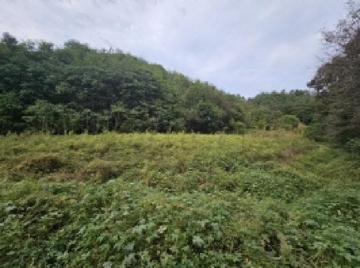 충청북도 제천시 장락동 2