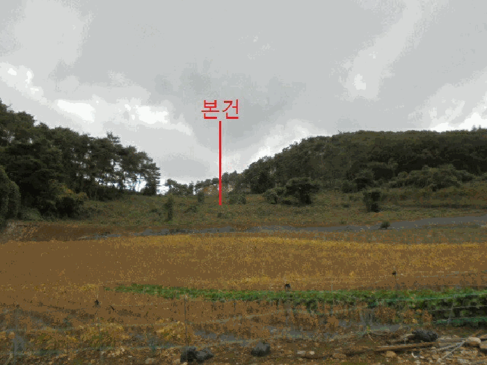 충청북도 단양군 영춘면 오사리 185