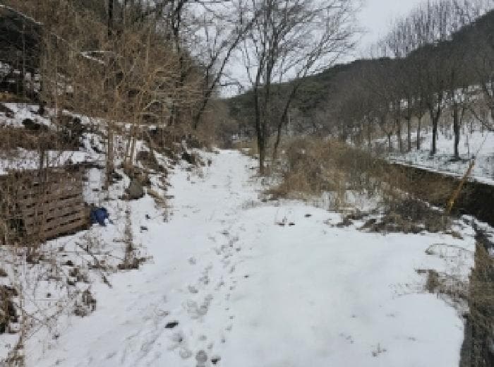 충청북도 단양군 가곡면 여천리 102