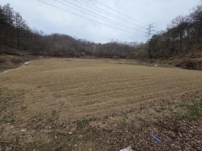 충청북도 제천시 봉양읍 장평리 637 외 3 필지