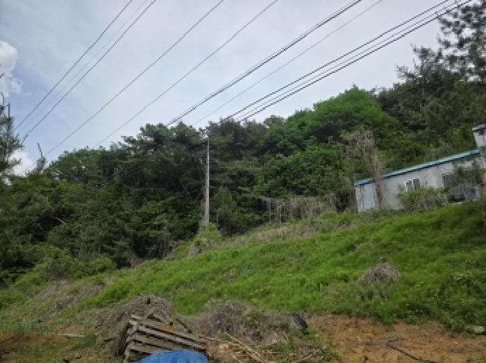 충청북도 제천시 금성면 대장리 238-2