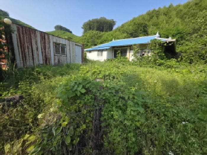 충청북도 제천시 금성면 활산리 180