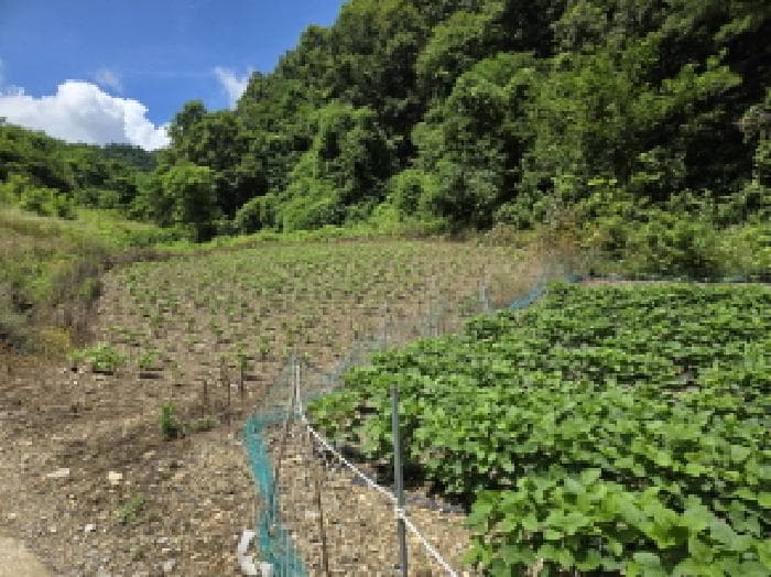 충청북도 제천시 수산면 내리 397-8
