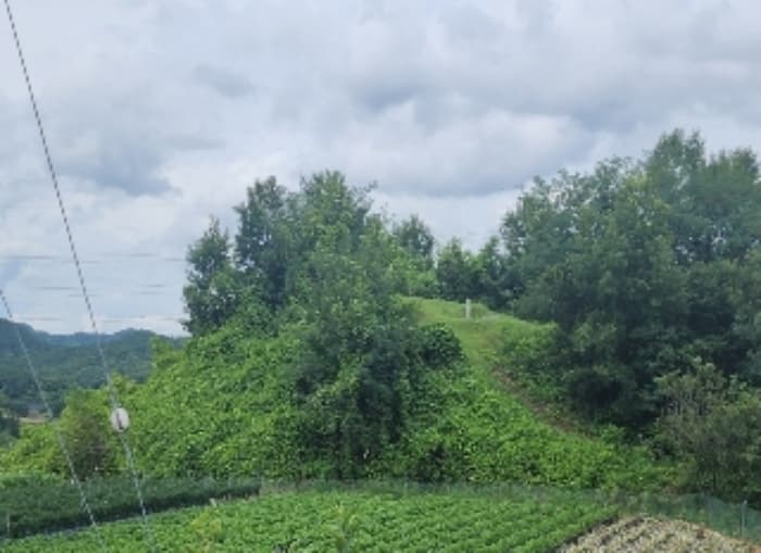 충청북도 영동군 용산면 구촌리 220-2 외 15 필지