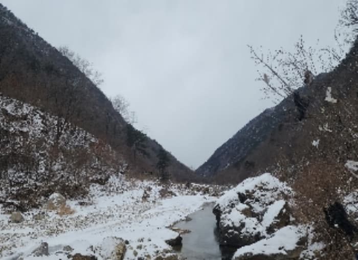 충청북도 옥천군 군서면 금산리 1