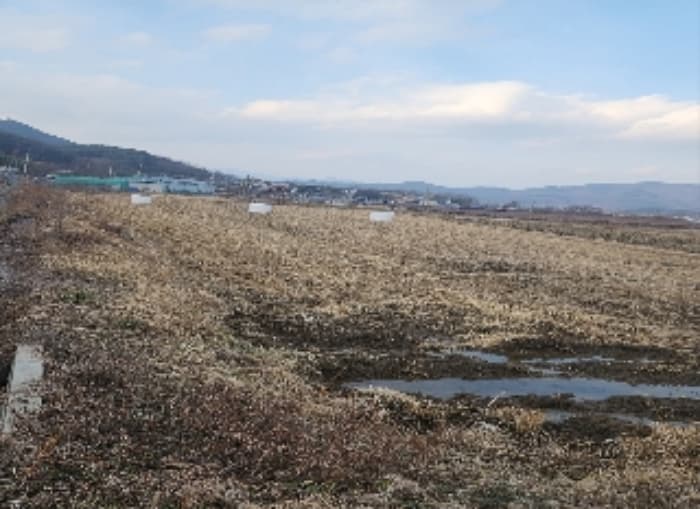 충청북도 영동군 매곡면 노천리 175