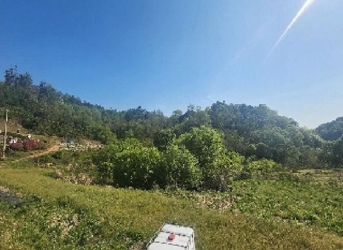 충청북도 영동군 양산면 수두리 308-2
