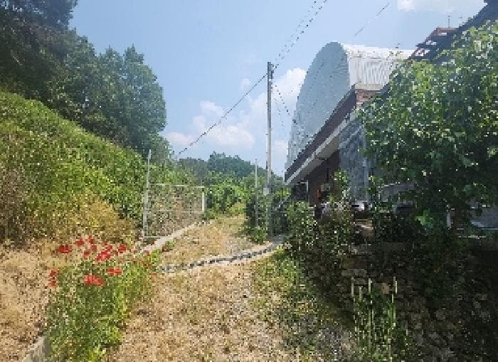 충청북도 옥천군 이원면 지정리 238