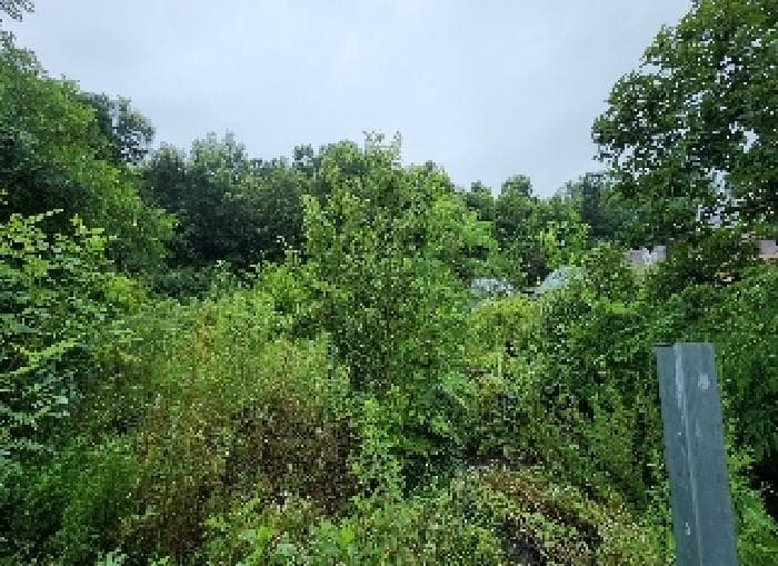 충청북도 영동군 용산면 백자전리 696-2