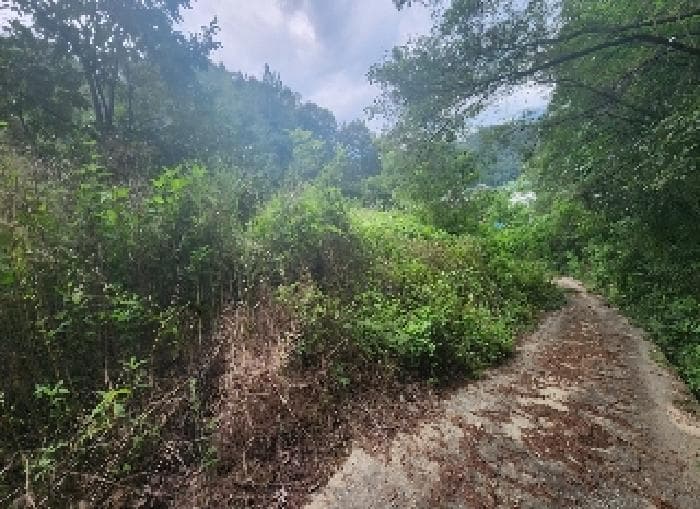 충청북도 영동군 양산면 원당리 165 외 2 필지