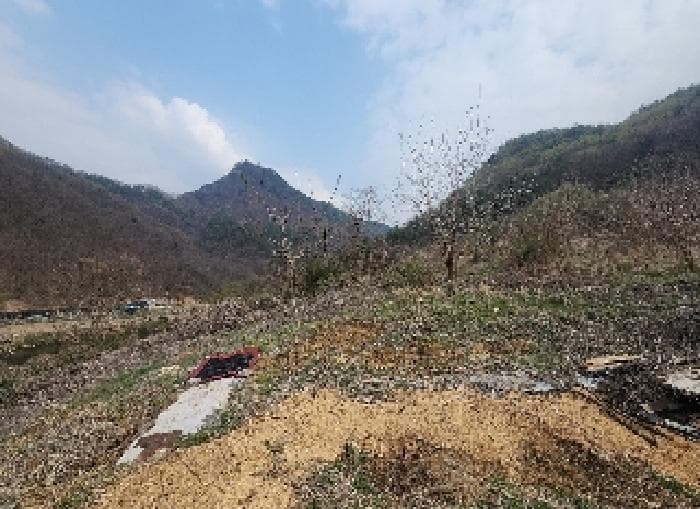 충청북도 영동군 용산면 한석리 540-2 외 2 필지