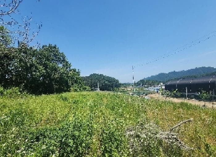 충청북도 옥천군 동이면 적하리 898-3