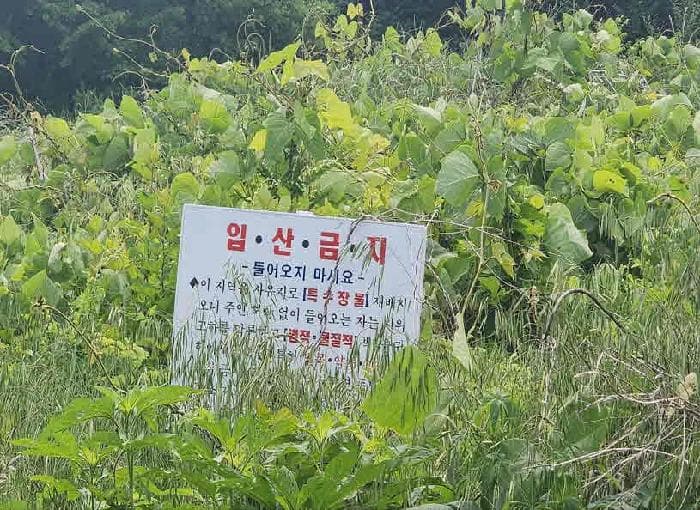 충청북도 옥천군 군북면 증약리 산18-3 외 8 필지