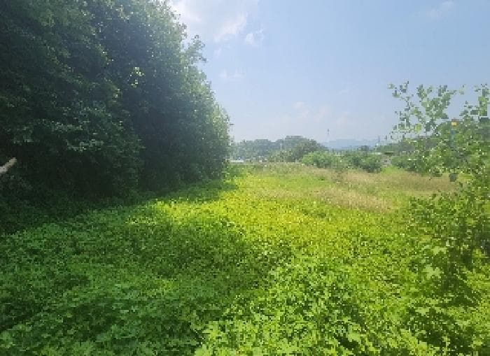 충청북도 옥천군 옥천읍 장야리 51-2 외 2 필지