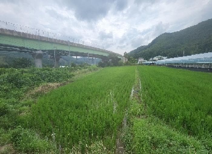 충청북도 영동군 추풍령면 관리 412-5