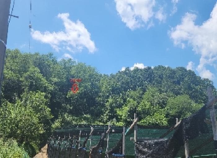 충청북도 옥천군 청성면 궁촌리 81