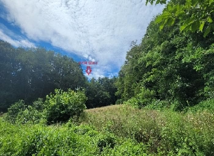 충청북도 옥천군 청성면 소서리 산30-1
