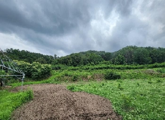 충청북도 옥천군 이원면 의평리 422-1 외 1 필지