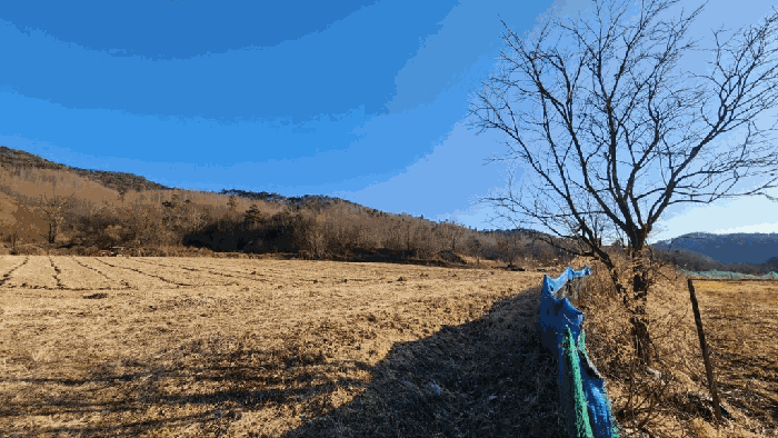 충청북도 영동군 용산면 신항리 396