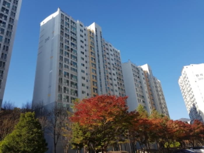 대전광역시 유성구 지족로 362, 310동 9층903호 (지족동,반석마을아파트3단지)