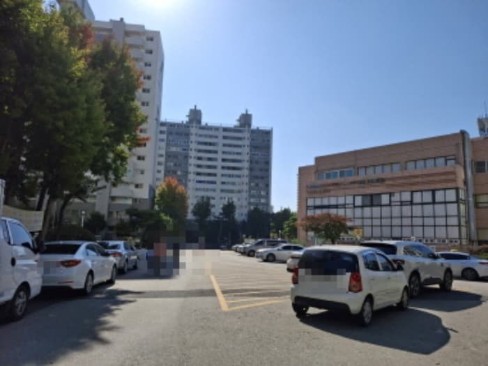 대전광역시 서구 청사로 5, 110동 13층1305호 (월평동,하나로아파트)