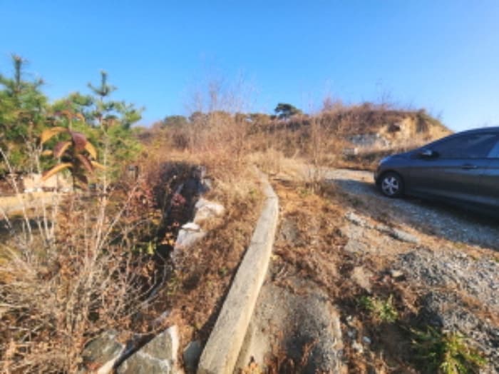 세종특별자치시  장군면 봉안리 295-5 외 5 필지