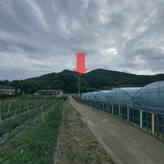 충청남도 금산군 추부면 서대리 산34-4