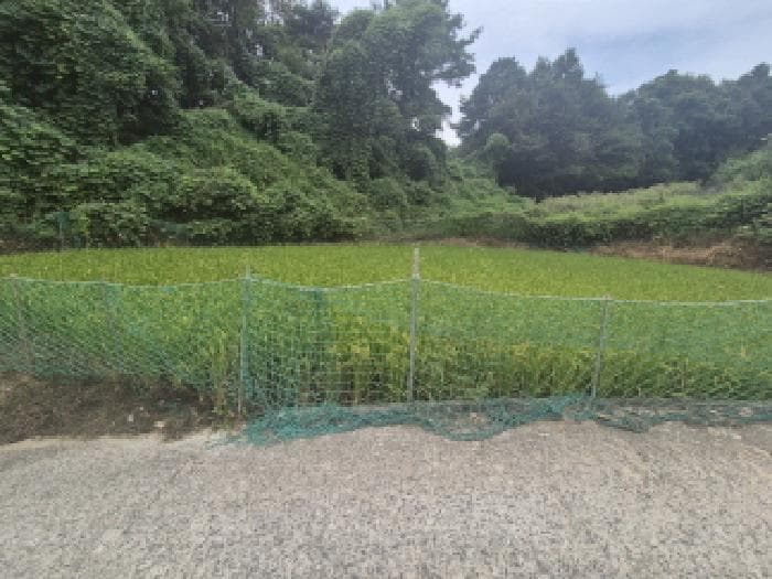 세종특별자치시  부강면 문곡리 777 외 2 필지