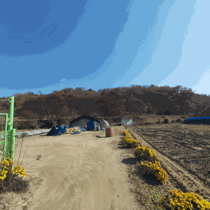 세종특별자치시  장군면 대교리 484-4