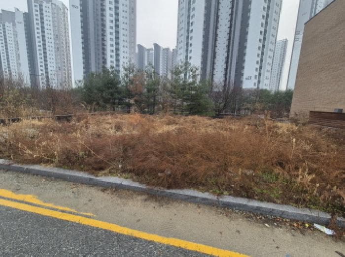 세종특별자치시  아름동 1096