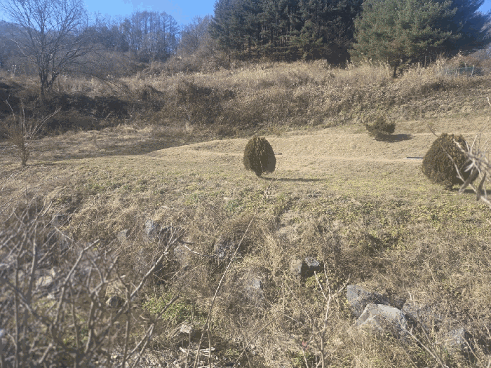 충청남도 금산군 진산면 엄정리 312-1