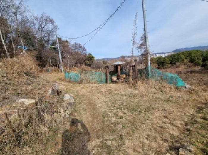 대전광역시 중구 석교동 248-43