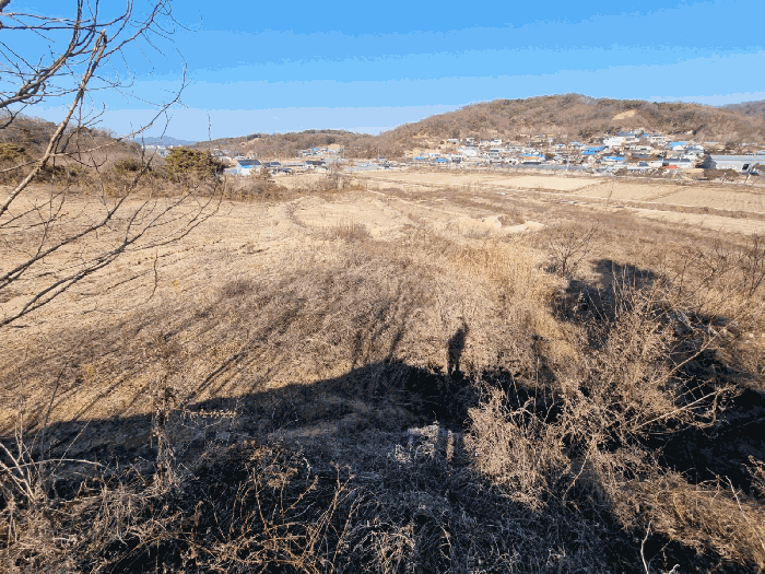 세종특별자치시  연동면 노송리 310-1 외 10 필지