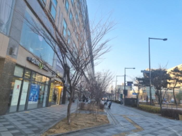 세종특별자치시  한누리대로 201, 7층705호 (나성동,우빈가온)