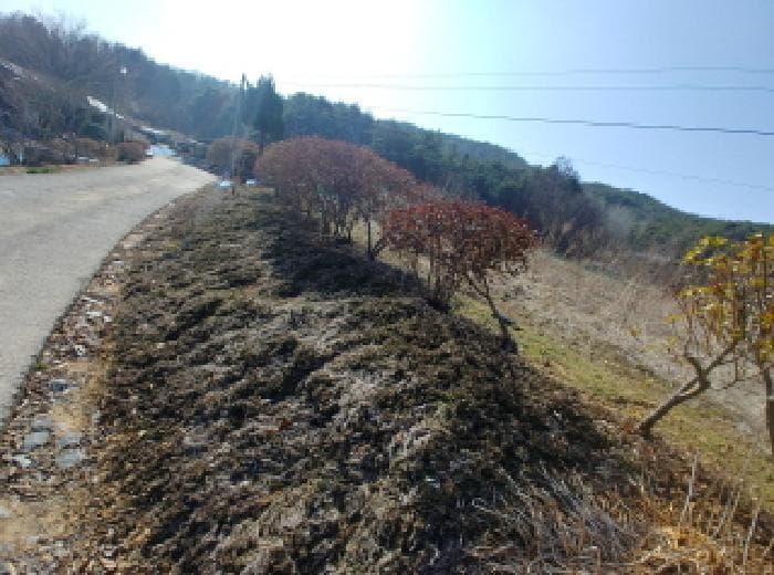 충청남도 금산군 남일면 신정리 624