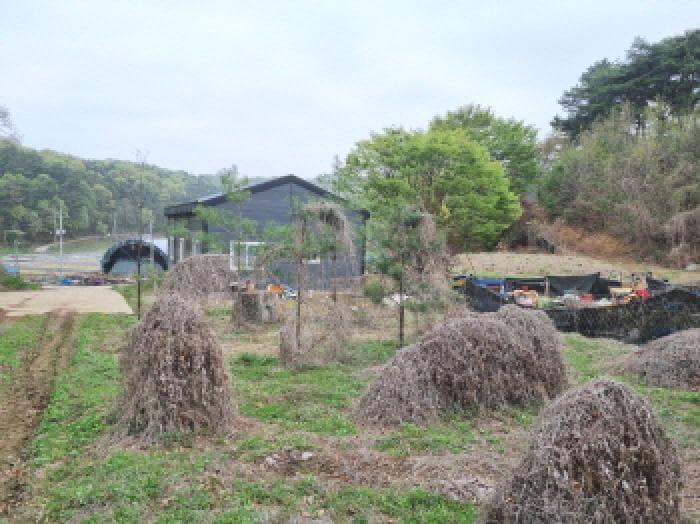 세종특별자치시  장군면 대교리 293 주건축물제1동 외 4 필지
