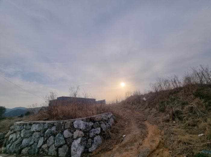 세종특별자치시  장군면 봉안리 29-20 외 6 필지