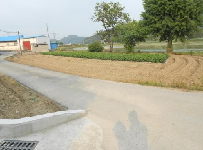 세종특별자치시  전동면 보덕리 388-5