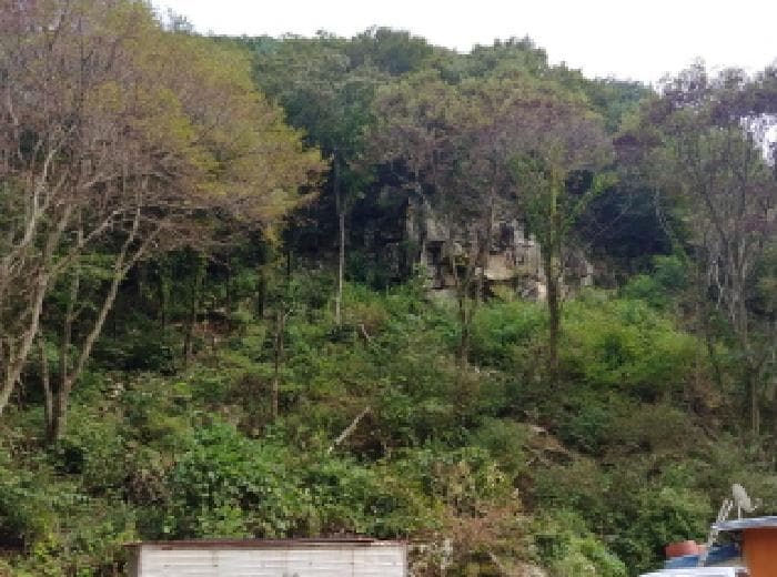 충청남도 금산군 진산면 삼가리 1