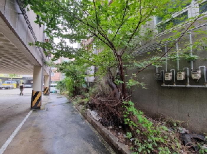 대전광역시 서구 용문동 272-10