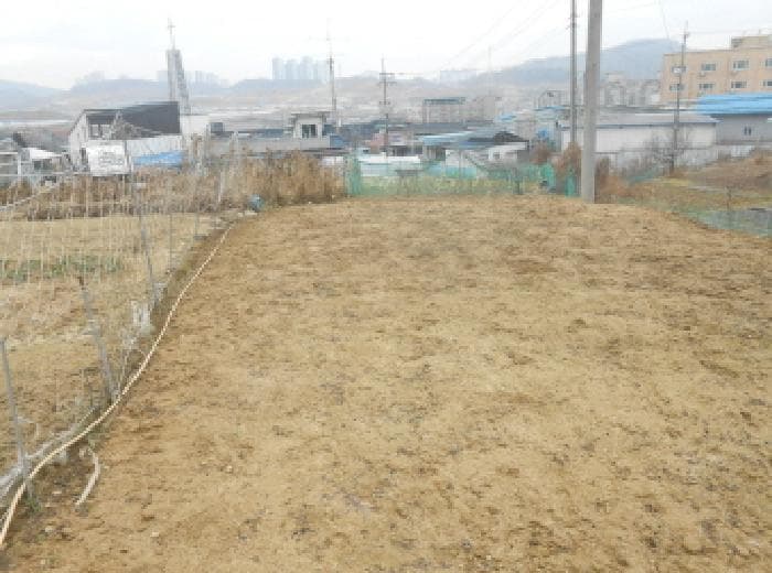 세종특별자치시  연기면 연기리 357-1