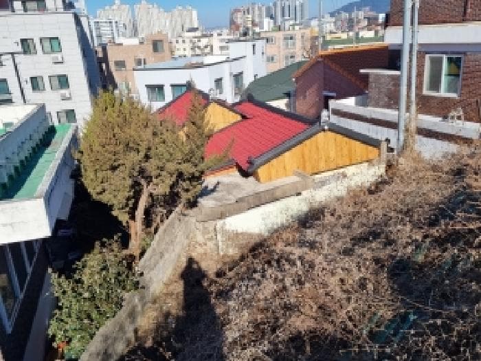 대전광역시 중구 대사동 247-159