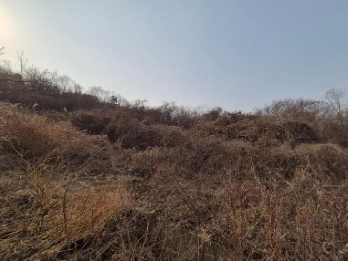 세종특별자치시  금남면 원봉리 399-16